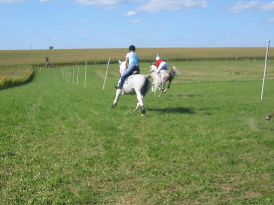 Course champètre, Siegen